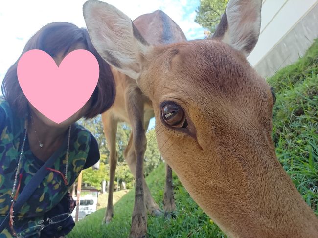 鹿さんとツーショット♪