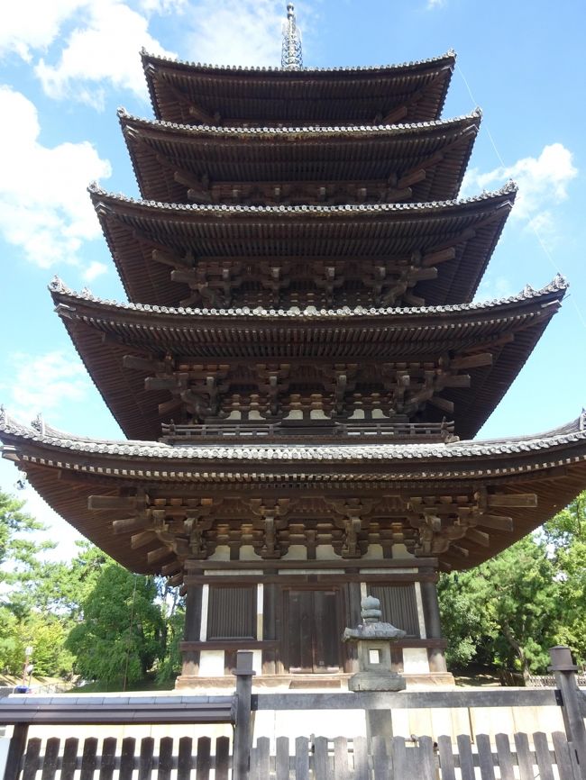興福寺の五重の塔。奈良だよ、っていう証拠写真です。<br />阿修羅の像も拝観しましたが、撮影禁止でノーフォト。<br /><br />暑くて早々に退散しました。