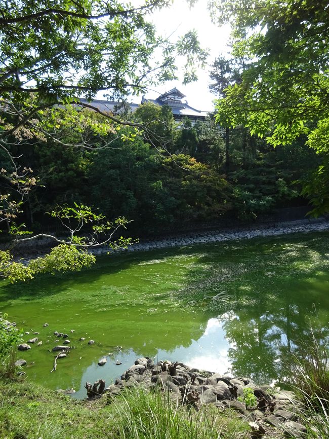 帰り道、池の方、つまり裏側から奈良ホテルを眺めました。なかなか素敵です。この環境がホテルの魅力の一つなのでしょうね、