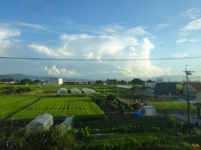 やっぱり奈良は沿道の風景がいいですね。