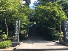 北鎌倉駅からすぐの円覚寺へ。緑のもみじがきれいです。拝観料300円を納めて中へ～