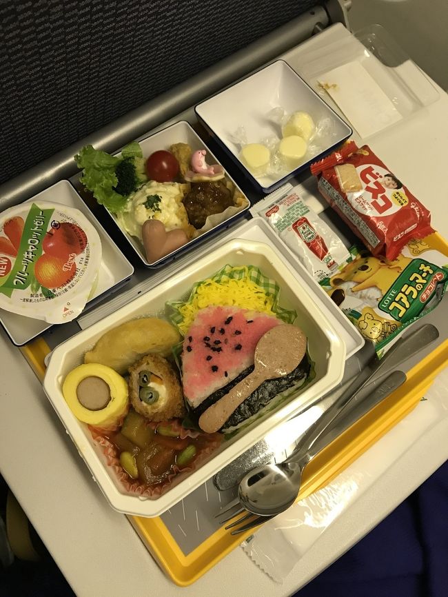 ANAを利用しました。ハワイ行きのキッズミールがとても可愛かったです。