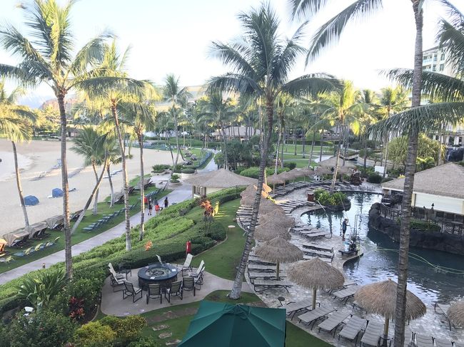 次の日の朝。ハワイの朝は早いです。皆さん散歩されていました。