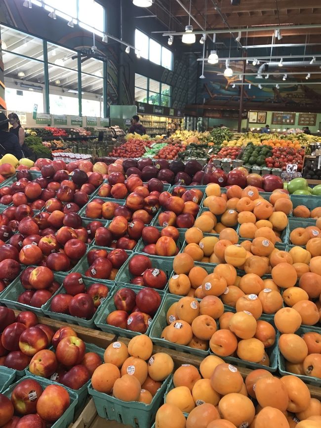 見ているだけで楽しいですね。