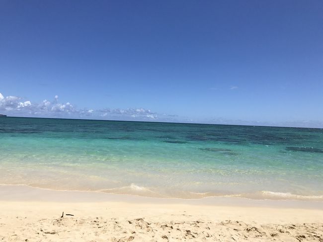 少しのんびり泳ぎました。