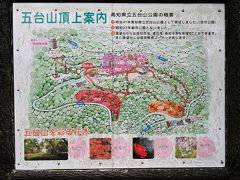 ●五台山公園

桂浜の次に訪れたのが、高知市街の南東部に位置する標高約146メートルの「五台山」の山頂付近にある「五台山公園」です。
山麓からはほぼ細い１車線の道ですが一方通行になっており、対向車を気にすること無くスムーズに上ってこれました。