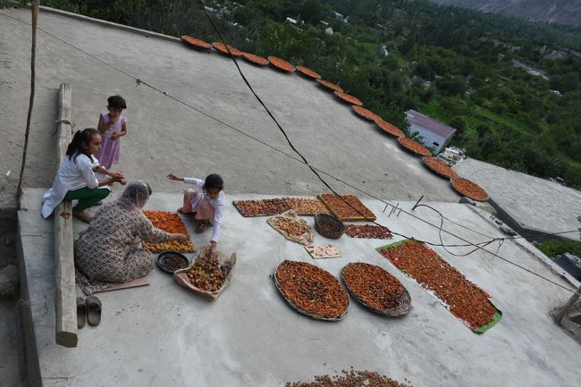 NO69　(8/12)<br />※杏子を干す作業をしていた。