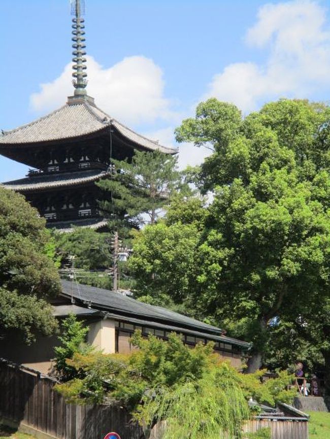 桜の時期によくとる風景ですが夏もいいですね。