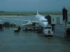 昨日から今日の午前中まで、台風で石垣空港は閉鎖。石垣島にたどり着く最初のフライトをゲットできた。ANAは終日運休。