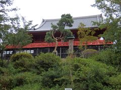 気を取り直して清水観音堂へ。
清水観音堂も寛永寺のお堂の1つ。
京都の清水寺を見立てたお堂です。