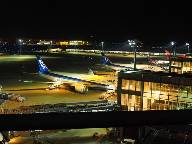 夏に行ったばかりなのに、またおいしいごはんを食べたいねと母と話して弾丸で行くことに。<br />初めての深夜便で香港に行きます！