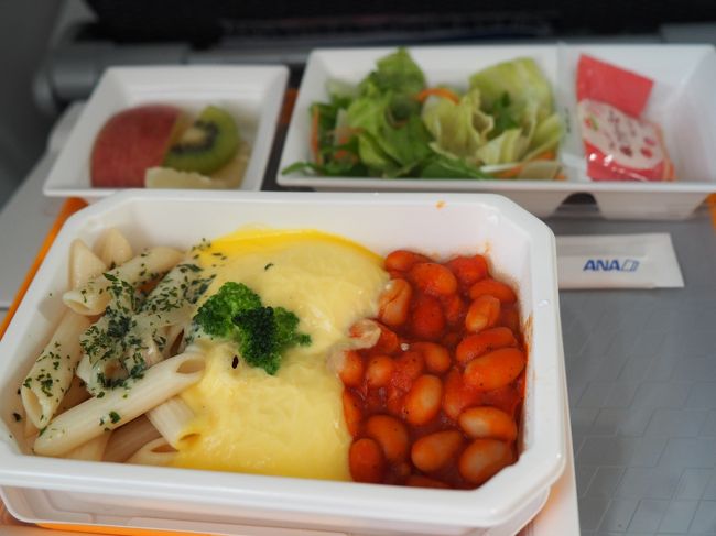 飛行機の写真が撮れなかった。泣<br />機内食のパスタ