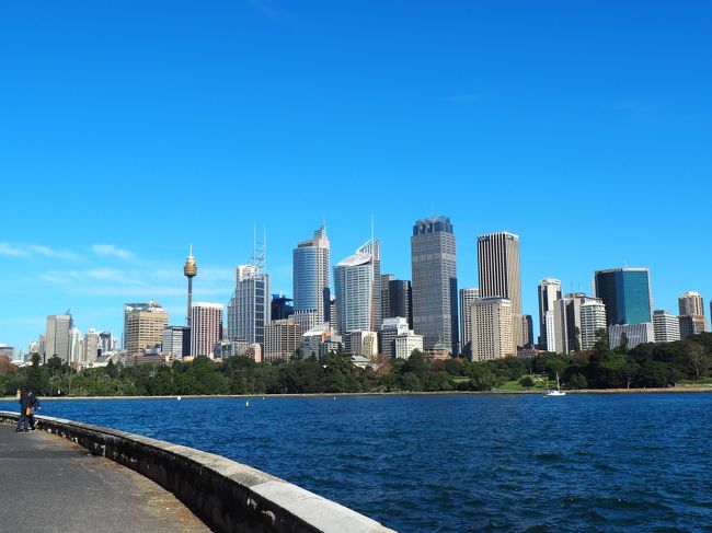 本当にいい天気で気持ちいい