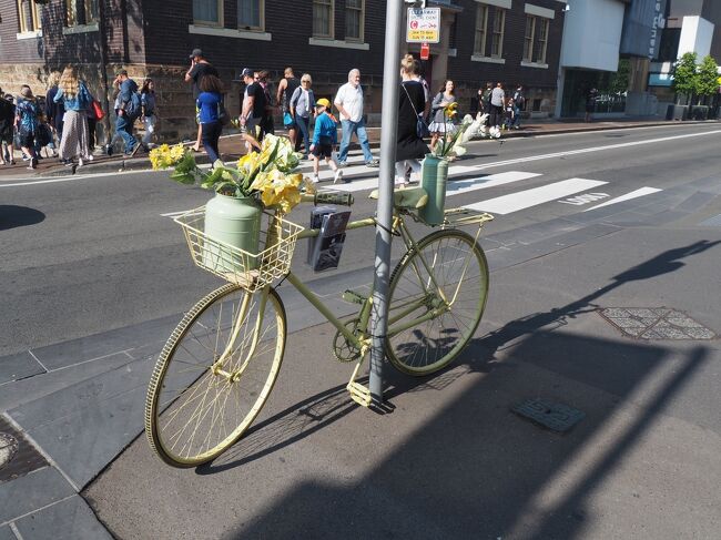 さらに歩いてハーバーブリッジへ向かいます<br /><br />自転車に花が飾られている光景、オランダでも見たな～。