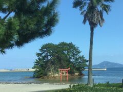 大島には、変わった形の鳥居が数か所で見受けられます。
上の横棒ですが、右側が太くなり反りあがったものです。
後で調べたところ、2度も命を失いかけた危機に接したが、2度とも生還した地元の漁師さんが、神様にお礼を！と　この鳥居を作り奉納したのが始まりだとか。
なぜ、この形？・・なんとなくだそうです。
ちなにみ、この鳥居、宗像大社の平成大造営のシンボルマークデザインに採用されています。