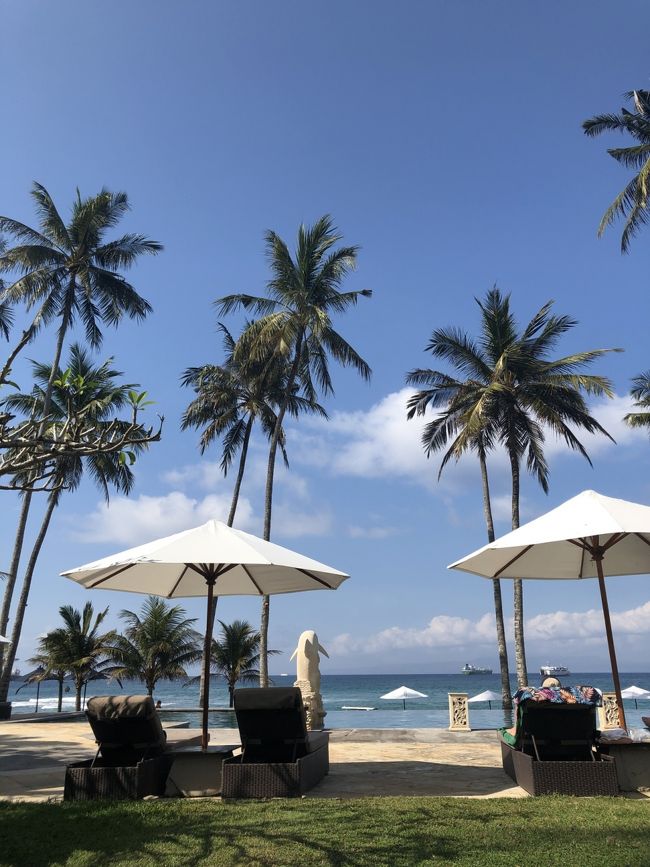 敷地内はどこもいい雰囲気