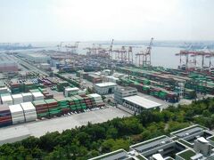 青海コンテナふ頭全景
台湾長栄海運を中心に外国籍海運が出入りする。5バースあり、一番内側の2バースが長栄専用ふ頭。
水深15m、18列対応（45ｍ幅か）ガントリークレーン装備、5万トンクラス（大体5000～6000TEU)に対応、EVER-U級のような20フィートコンテナ5600個積みのVLCS（very large container ship　特大型コンテナ船、拡幅前のパナマ運河を通れない）の接岸、荷役が可能だが、総トン数10万トン以上、15000TEUクラスのULCS(Ultra large container ship)には対応できないようだ。