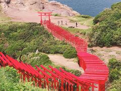 映えスポットで有名な元乃隅稲成神社に。
さすがの絶景。
この日はとても暑く、私は少々バテ気味。日傘を差してのんびり歩きました。