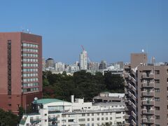 右に東京スカイツリーとホテル椿山荘東京。