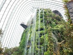 次は「Cloud Forest」へ
入ったところにこの滝。かなりの高さです～
水しぶきがすごい