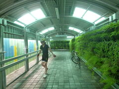 高雄駅の改築により、自転車で博愛路の跨線橋を渡らずに済むようになりました。