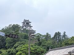 日曜市をはりまや橋方面から歩くと高知城にたどり着きます。
今回は中に入らないのでここから眺めておく。
