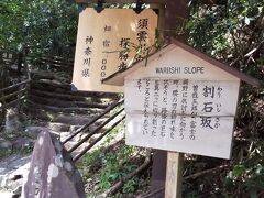 この奥　坂を登った所にあるようです。お時間と体力のある方どうぞ。このあたりは歩道がなく、私が歩いたGWは車も多く少し危ないので注意してください。