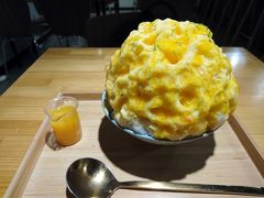 Kakigori Toshihiko