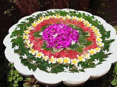 サムイ島２日目の朝。
