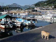 蒲刈大橋を通って、2つ目の島：上蒲刈島へ
向港に寄り道
この辺り、「猫スポット」
高確率でネコちゃんに遭遇します。