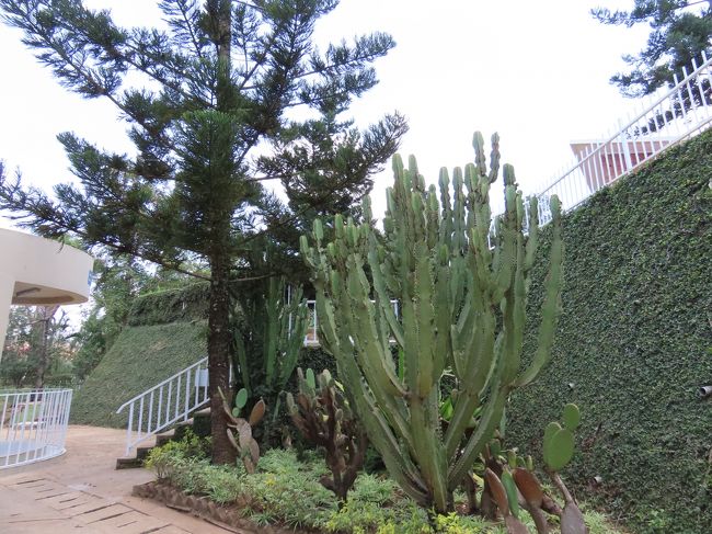 記念館に入る前に、建物の周囲をぐるっと一周。小さな庭園コーナーが点在しています。<br /><br />ここは「Garden of self protection」・・・護身の庭とでも訳すのでしょうか。<br /><br />オーディオガイドによると、サボテンは虐殺のイデオロギーから社会を守り復興する象徴として植えられているとのこと。何気ない植物ですが、いろいろ意味を込めて庭を造っていることがわかります。