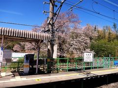 11:24　新府駅に着きました。（小淵沢駅から21分）
桜が満開で綺麗ですね。
ホームのベンチで酒でも飲みながら花見をしたいところです。（笑）