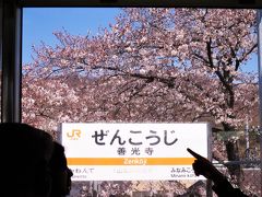 12:16　善光寺駅に着きました。（甲府駅から５分）
甲斐善光寺最寄り駅です。ホームに沿って桜並木があり見ごろを迎えています。綺麗ですね。今日は桜を眺めながら身延線の旅を楽しめそうです。

■甲斐善光寺（定額山浄智院善光寺）
1558年（永禄元年）、川中島の合戦に際して信濃善光寺の焼失を恐れた武田信玄が本尊善光寺如来をはじめとした善光寺の仏像・仏具を甲斐に移したことに始まります。

・甲斐善光寺
　http://www.kai-zenkoji.or.jp/