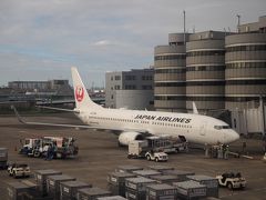 仕事を半日で終えて、羽田空港へ。
ホントは18時の便だったけど、かろうじて４席空いてたので、前の便に振り替えることができたー。

（JAL189）羽田 15:55 → 小松 16:55

小松空港に着いたら、預けてたスーツケースを受け取る。
ほとんどの乗客は荷物を預けてないから、出遅れてしまった！
ゲートを出たら、すぐに空港バスのチケットを購入、すでに到着していたバスの列に並ぶ。
そしたら「このお客さんで最後ねー」って・・・私が最後の一人だった！！
しかも、補助席・・・補助席でも乗れてよかったーーー。

飛行機が満席だったら、金沢駅行きのバスに乗れないということがあるかもしれないので、荷物は機内持ち込みがいいかも。