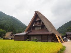 駐車場からエレベーターで下りると、トンネルが左右にが分かれていて、右は菅沼合掌集落に続く。

トンネルを抜けるとタイムスリップしたかのよう。
稲は黄金色になりつつある。