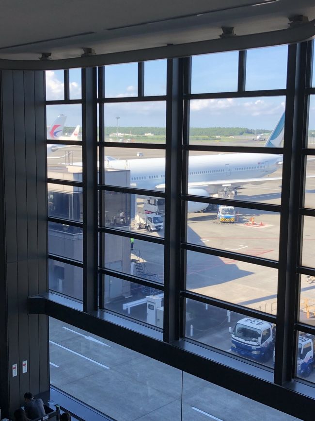 空港到着、フオートラで申し込みしたWi-fiをピックアップしてチェックイン。<br />今回の旅は食とパック大量買いなので、LCCはやめてキャセイパシフィック！香港に行くときに使った以来かな？？