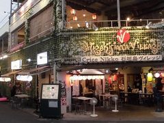 石垣島ヴィレッジ
居酒屋が集まる建物。島料理と思って入った店は普通の焼鳥屋だった。ので、早々に退散し、二軒目へ。