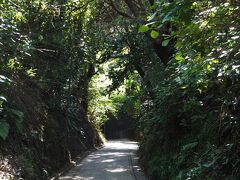 亀ヶ谷坂切通し

この後は、海蔵寺を目指します。
北鎌倉から鎌倉に抜ける近道ですが、急な坂を上り下りする必要があります。
