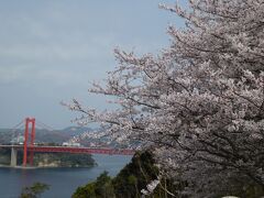 平戸大橋の見える公園でお花見をして帰りました。

今回もまた少し体重を増やして…楽しい旅となりました。