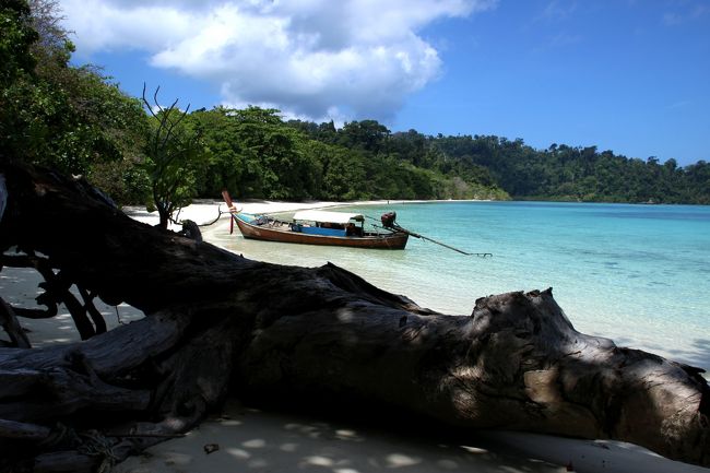 ☆Ao Reli Bagu Beach , Koh Adang @ Mu Koh Lipe Thai<br /><br />Ao Reli Bagu Lek Beachを楽しんだ後は再びAo Reli Bagu Beachに戻り<br />Beachの西端まで行ってみましょう。<br />この大きな倒木のある所がAo Reli Bagu Beachの東端です。