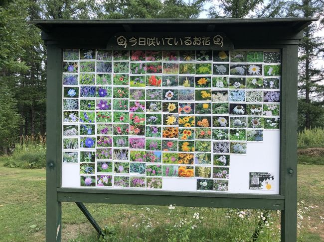 2019.8 夏・北海道ガーデン街道花巡り【２】…「風のガーデン」あの