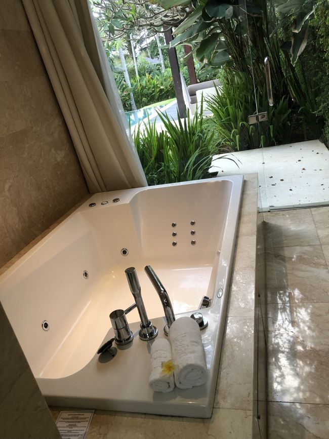 大人2人余裕で入れるジェットバス