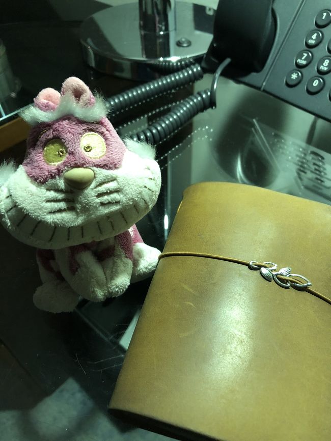 2018年12月27日<br />日航ホテル成田にて。いつものお供と一緒に、ぱちり。毎回、香港旅行は朝早い便なので、駐車場が無料で前泊できるこちらのホテルにお世話になっている。では、行ってきまーす。