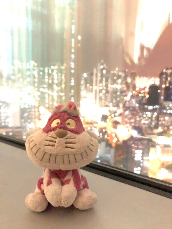 着いたー。今回のモンコックのランガムプレイスというホテルだ。活気溢れる街で、ここのホテルはお気に入り。