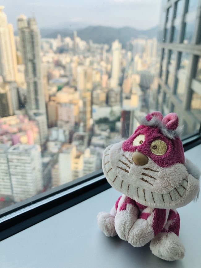 相棒も、おはようございます。