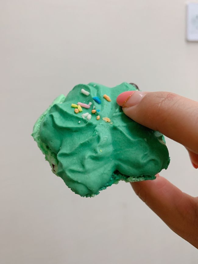 ミントハイムのマカロンは可愛い。<br />カメレオンみたい