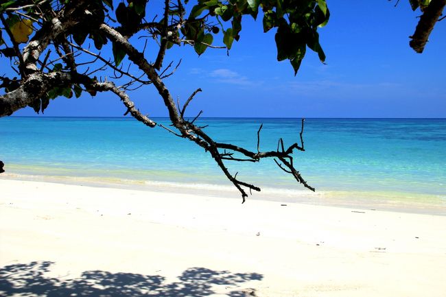 ☆Ao Reli Bagu Beach , Koh Adang @ Mu Koh Lipe Thai