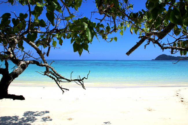 ☆Ao Reli Bagu Beach , Koh Adang @ Mu Koh Lipe Thai<br /><br />あまりに単調なので木の枝を少し撮り込んでみました。<br />その木でさえオオハマボウとモモタマナくらいしか生えていません。<br /><br />オオハマボウ（大浜朴/アオイ科フヨウ属）は常緑高木で<br />ユウナ（右納、沖縄や奄美地方の呼び名）とかヤマアサと呼ばれる。<br />名前の由来は、ハマボウに似て、花も葉も一回り大きいことから。<br />英名はBeach Hibiscusなので英名の方が分かりやすいかも(^^ゞ。<br />樹高は２～６ｍで常緑。<br />日本では、種子島、屋久島以南、琉球列島各島に分布し<br />海外ではそれ以南の亜熱帯～熱帯地域の海沿いに広く分布します。