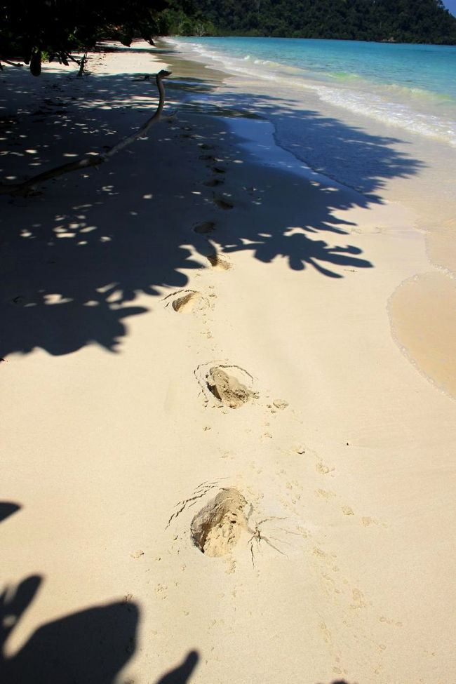 ☆Ao Reli Bagu Beach , Koh Adang @ Mu Koh Lipe Thai<br /><br />Ao Reli Bagu Beach の砂質は片栗粉のようにきめが細かいと言いましたが<br />ビーチを歩くとご覧の通り足が５，６ｃｍも砂に沈んでしまいます。<br />なので歩くのがけっこう大変なんです(^^;)。