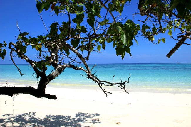 ☆Ao Reli Bagu Beach , Koh Adang @ Mu Koh Lipe Thai